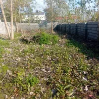 فروش زمین مسکونی با پروانه ساخت در زیباکنار ساحلی