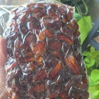 فروش خرمای حلاب و شاخونی