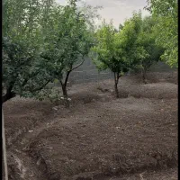 باغ700متری حصارمهتر چهاردیوار قدیمی برخیابان اصلی|فروش زمین و ملک کلنگی|رباط‌کریم, حصار مهتر|دیوار