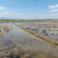 زمین کشاورزی 4500 متری