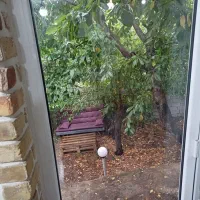 ویلا دربست باویو کوهستان|اجارهٔ کوتاهمدت ویلا و باغ|فشم, |دیوار