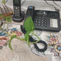 گوشی تلفن بی سیم و سیم دار پاناسونیک اصل