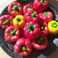 ترشیجات خانگی