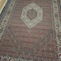 دست بافت|فرش|زنجان, |دیوار