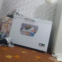 فریزرصندقی