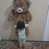شاسخین  اسباب بازی