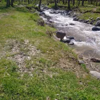 چنل روبیکا فروشی