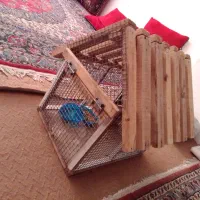 قفس چوبی محکم طرح کلبه|لوازم جانبی حیوانات|نجف‌آباد, یزدانشهر|دیوار