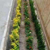 باغبانی باغچه کاری بیل زنی چمن کاری