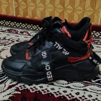 سایز ۳۹ و و۴۱ و۳۷و ۴۲|کیف، کفش، کمربند|قم, چهل درخت‎|دیوار