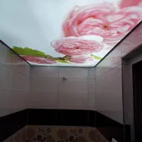 سقف کشسان|خدمات پیشه و مهارت|گرگان, |دیوار