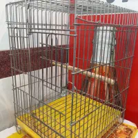 قفس طوطی بسیار سنگین صحیح سالم|لوازم جانبی حیوانات|اردبیل, |دیوار