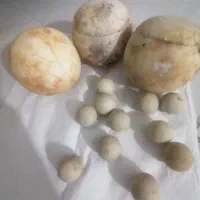 سنگ آسیاب دونه ای 10هزار