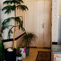 رهن و اجاره آپارتمان یکخواب در شهرک مطهری|اجارهٔ آپارتمان|شیراز, شهرک مطهری|دیوار