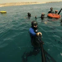 آموزش غواصی آزاد (Freediving)