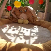 یک هدیه خاص