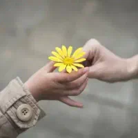 پرستار سالمند نیازدارم