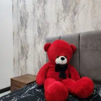 خرس شاسخین|اسباببازی|مشهد, شهید رضوی|دیوار