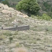 زمین معاوضه