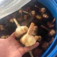 فروش عمده انواع زیتون و روغن‌زیتون و سیر ترشی|عمده‌فروشی|شیراز, بازار|دیوار