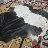 چرم گاو