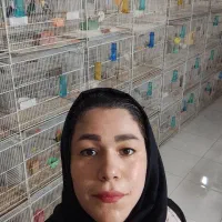 سالن طوطی نویان پاروت کوتوله عروس قناری کفتر|پرنده|مشهد, فاطمیه|دیوار