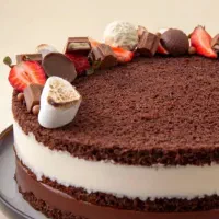 آموزش کیک های مدرن و کافی شاپی و موچی و حلوا