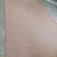 موکت|موکت|سمنان, |دیوار