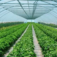 زمین-مناسب-گلخانه-و-باغچه-3000متری