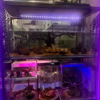 فروشگاه ماهی آکواریومی تجهیزات آکواریوم