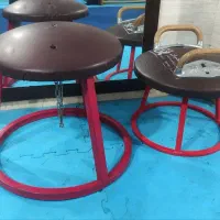 قارچی ژیمناستیک