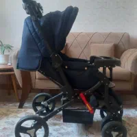 کالسکه دلیجان مدل بنیتا