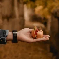 راهنمایی برا شکر گزاری