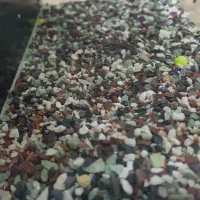 اکواریوم|ماهی|خرم‌آباد, |دیوار