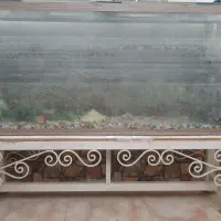 آکواریوم