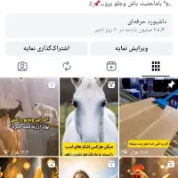 پیج اینستاگرام واقعی 116k