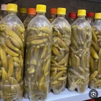 خیار شور ریز به فروش می‌رسد