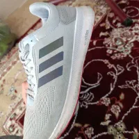 کفش پارچه ای آدیداس|کیف، کفش، کمربند|سراب, |دیوار