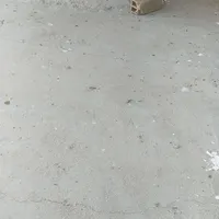 کبوتر صید