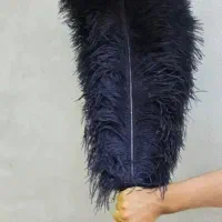 شاهپر محرمی