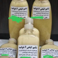 یه فرصت طلایی آموزشی درمهرماه|فعالیت داوطلبانه|شیراز, لاله|دیوار