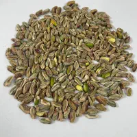 پسته مغز پسته