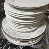 پیش دستی و بشقاب غذا خوری