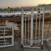 دو عدد چنجر