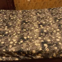 باغ و سوییت دربست اجاره روزانه