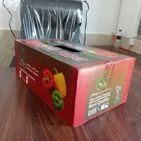 تولید انواع ورق کارتن و جعبه عمومی و اختصاصی|عمدهفروشی|شیراز, شهرک صنعتی شیراز|دیوار