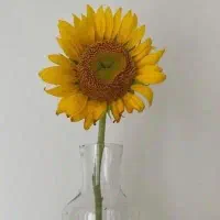 اپراتور خانم (لیزر موهای زائد)