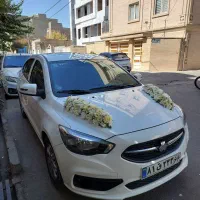 گل آرایی و تزیین ماشین عروس در محل|خدمات پذیرایی، مراسم|تهران, فلسطین (میدان انقلاب)|دیوار