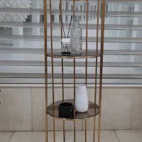 ویترین کنارسالنی