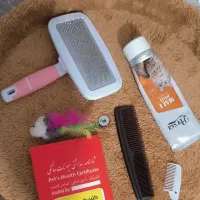واگذاری گربه پرشین|گربه|یاسوج, |دیوار